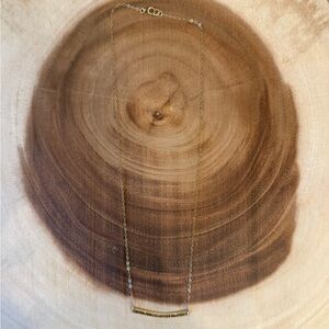 Danity “stay salty” bar necklace